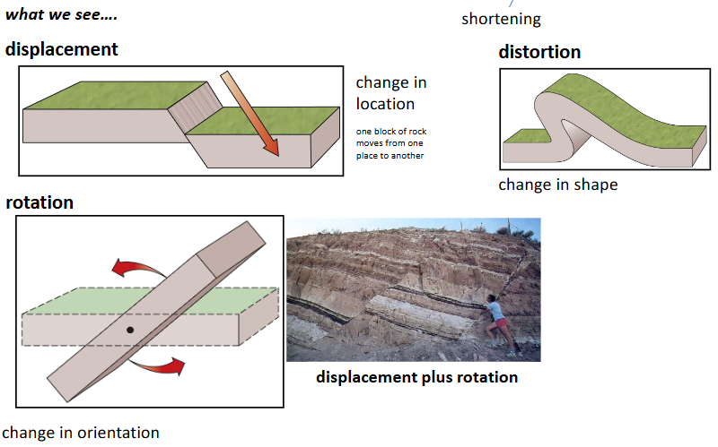 <p>a process by which rocks bend, break or flow. In response to compression, tension or shearing.</p><ul><li><p>Types of deformation</p><ul><li><p>displacement: change in location, one block of rock moves from one place to another.</p></li><li><p>distortion: change in shape</p></li><li><p>rotation: change in orientation</p></li></ul></li></ul><p></p>