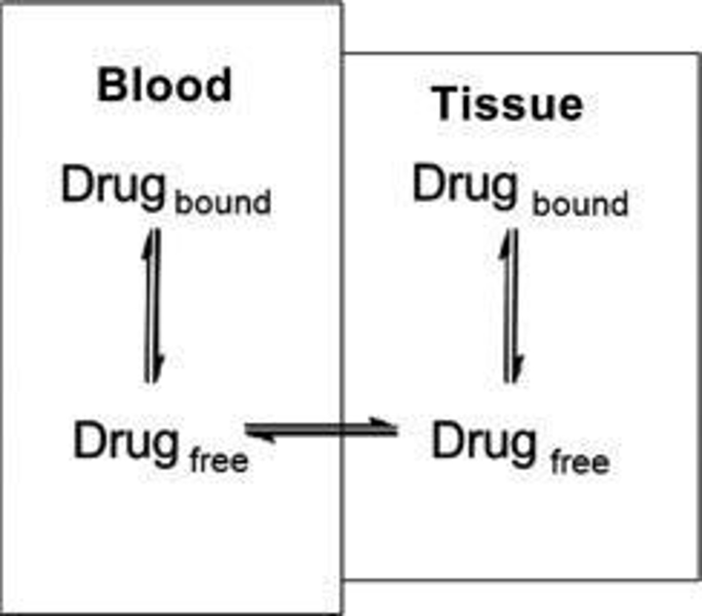 <p>Changes in the distribution of drugs within the body</p>