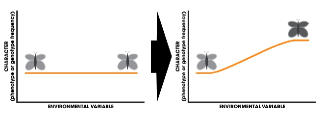 <ul><li><p>genetic isolation happens when populations change gradually along a <strong>cline</strong></p></li><li><p><strong>Cline</strong>: a spatial gradient of character change along an environmental variable</p></li><li><p>Ex. House mice increase in body size and build bigger nests in the north</p></li></ul><p></p>