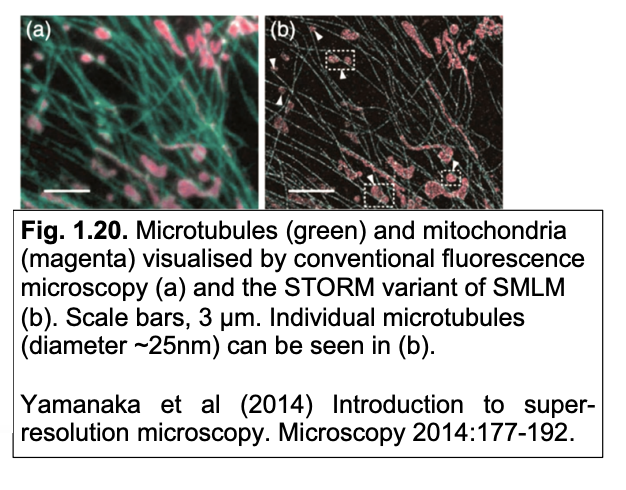<ol start="2"><li><p>STED: stimulated depletion Emission Microscopy: concept</p></li></ol><p></p>