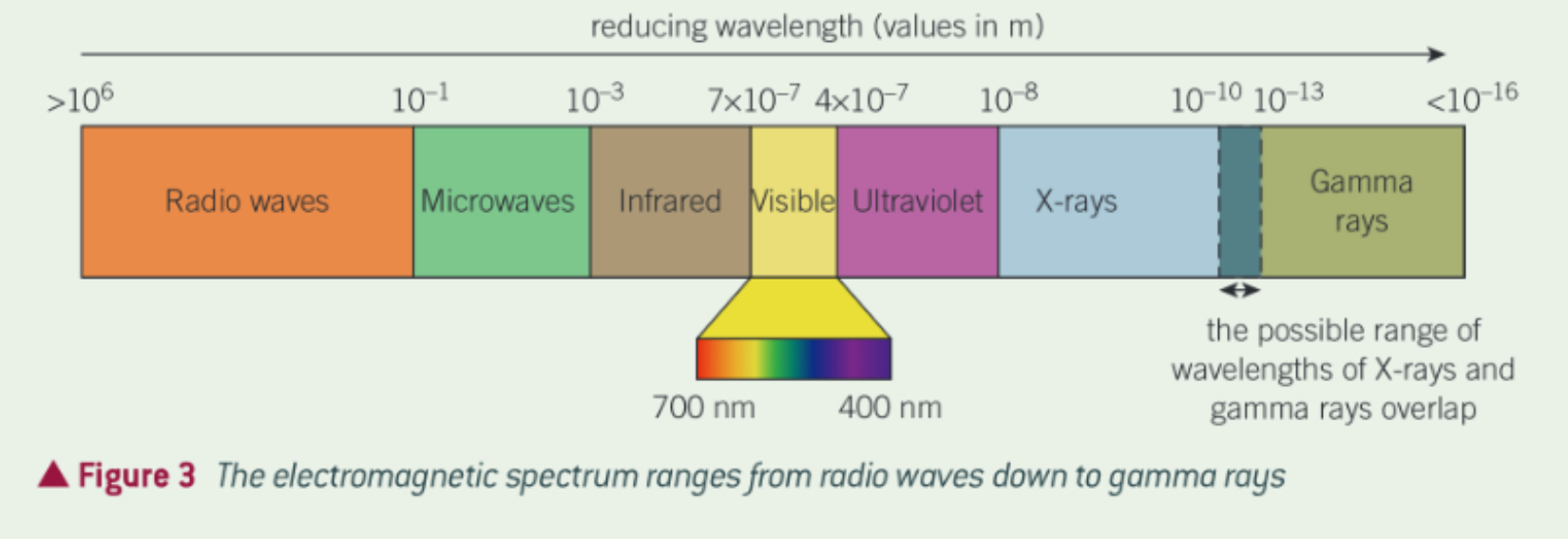 <ul><li><p>A transverse wave with electric and magnetic fields oscillating perpendicular to each other and both perpendicular to the direction of energy travel</p></li><li><p>Travel through a vacuum at C, can be reflected, refracted and diffracted</p></li><li><p>See image</p></li></ul><p></p>