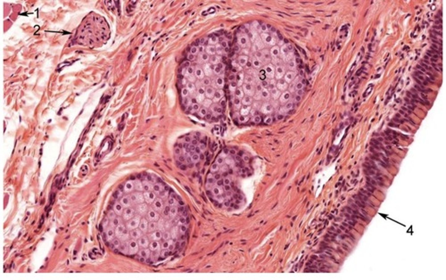 <p>1</p>