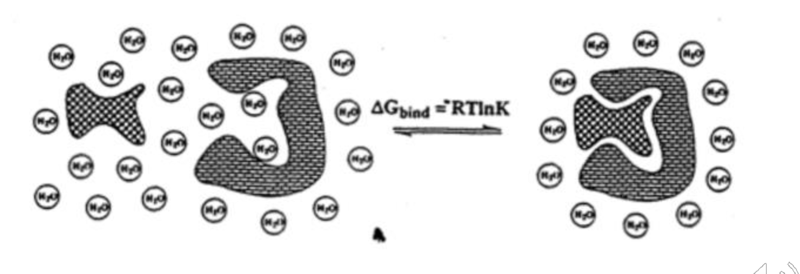 <p>Oil molecules interact with each other to create one giant oil droplet which has less SA to cover with ordered water molecules —&gt; Entropically favorable because less ordered water molecules </p><p>Why does this matter?</p><ul><li><p>Most small molecule drugs are hydrophobic </p></li><li><p>Binding of a drug to a receptor is high entropy because there is less ordered molecules in the receptor pocket</p><ul><li><p>The binding of hydrophilic groups is not always better in a protein binding site because polar AAs that interact with these groups may not be oriented to interact any stronger than with solvent water </p></li></ul></li></ul><p></p>