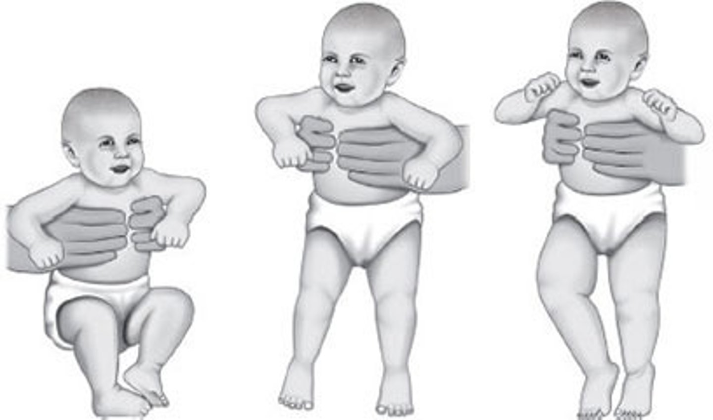 <p>balls of feet contact support surface, baby's legs will extend to bear weight</p><p>- develops at 35 weeks gestation</p><p>- integrates at 1-2 months</p>