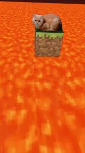 <p>recipe adjustment</p>