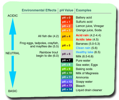 <p>Numerical method for expression range of hydrogen ion in concentrations</p><ul><li><p>0 to 14</p></li><li><p>7 is neutral ( equal amount of hydrogen ion to hydroxide )</p></li><li><p>small # more acidic</p></li><li><p>ph changes molecular structure</p></li></ul>