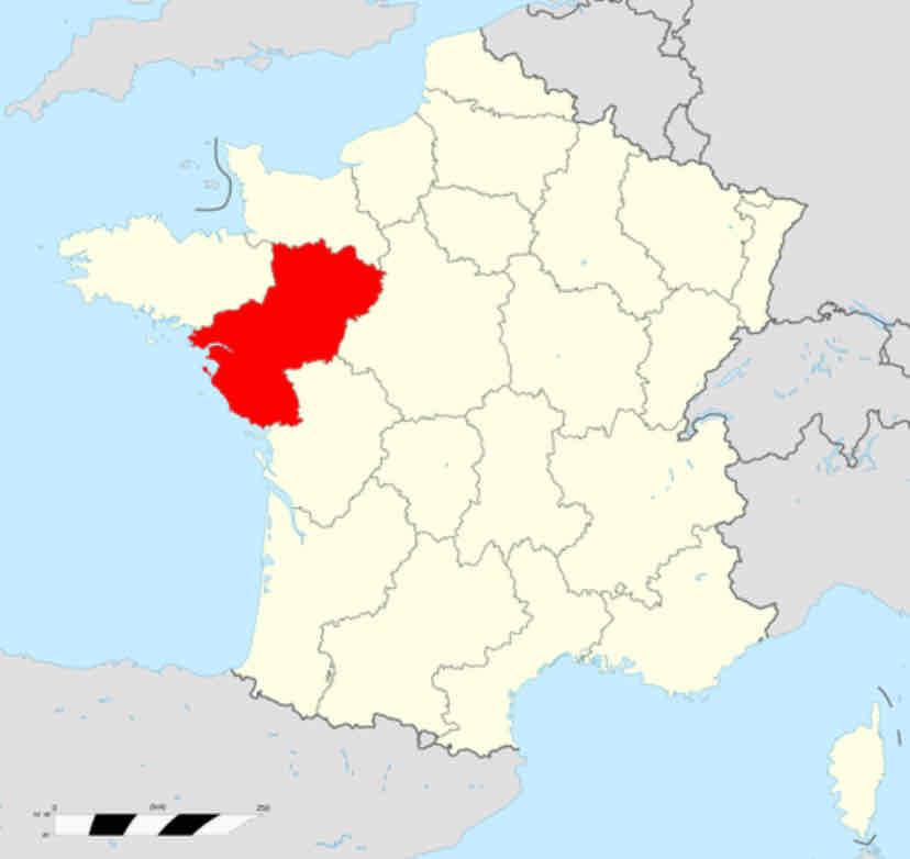 <p></p>