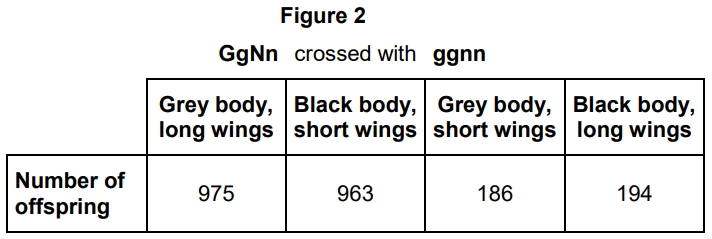 <p>G = dominant allele for grey body</p><p>g = recessive allele for black body </p><p>N = dominant allele for long wings </p><p>n = recessive allele for short wings </p><p>Use your knowledge of gene linkage to explain these results (4)</p>