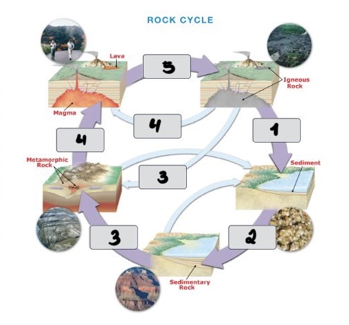 <p>(1) Breaks down rock that is transported and deposited as SEDIMENT (2) Process where sediment is compacted and cemented to form SEDIMENTARY ROCK (3) Process when sedimentary rock is buried deep in the crust, heat and pressure(stress) change it to METAMORPHIC ROCK (4) Melted metamorphic rock due to high heat beneath Earth’s surface (5) When (a)lava or (b)magma cools and solidifies, forming igneous rock: (a)Extrusive and (b)Intrusive</p>