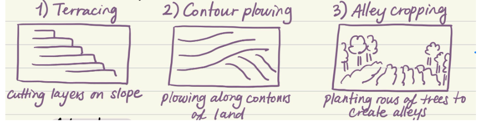 <p>Terracing (cutting layers on slope), contour plowing (plowing along lines of land), alley cropping (planting rows of trees to create alleys) </p>