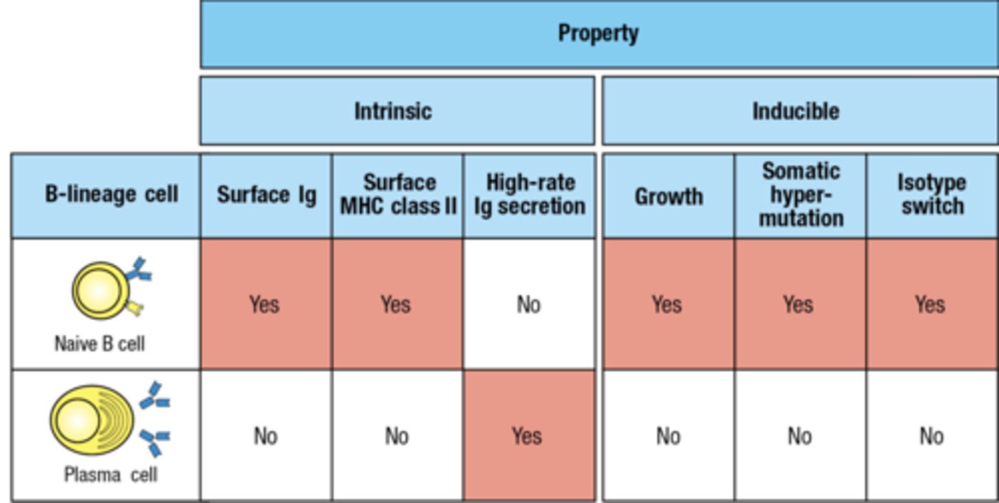 <p>love this chart</p>