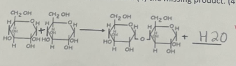 <p>What is the name of this diagram, its importance, and what is happening in it? Pt.1</p>