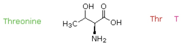 <p>Thr, T</p>