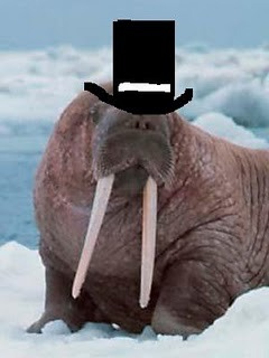 <p>(adj.) grand in an impressive or stately way; marked by pompous affectation or grandeur, absurdly exaggerated</p><p>SYNONYMS: majestic, bombastic, highfalutin</p><p>ANTONYMS: simple, modest, humble</p>