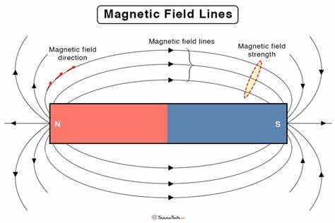 <p>Which <mark data-color="blue">way a force would act on a north pole</mark> if it was put <mark data-color="blue">at that point in the field.</mark></p>