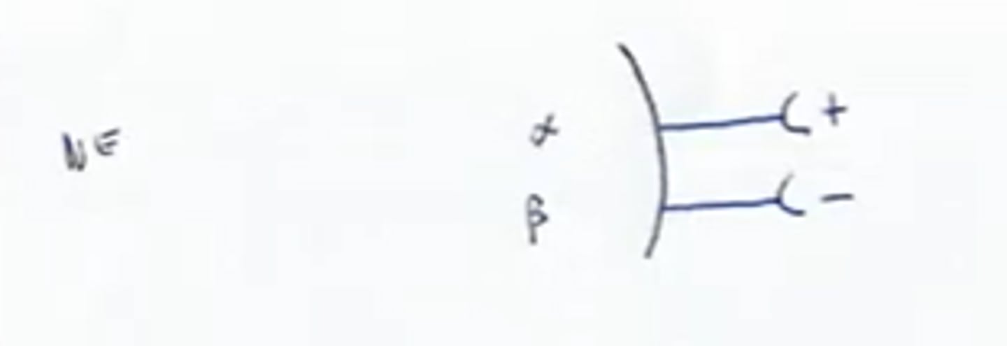 <p>Type of Adrenergic receptors that are generally inhibitory</p>