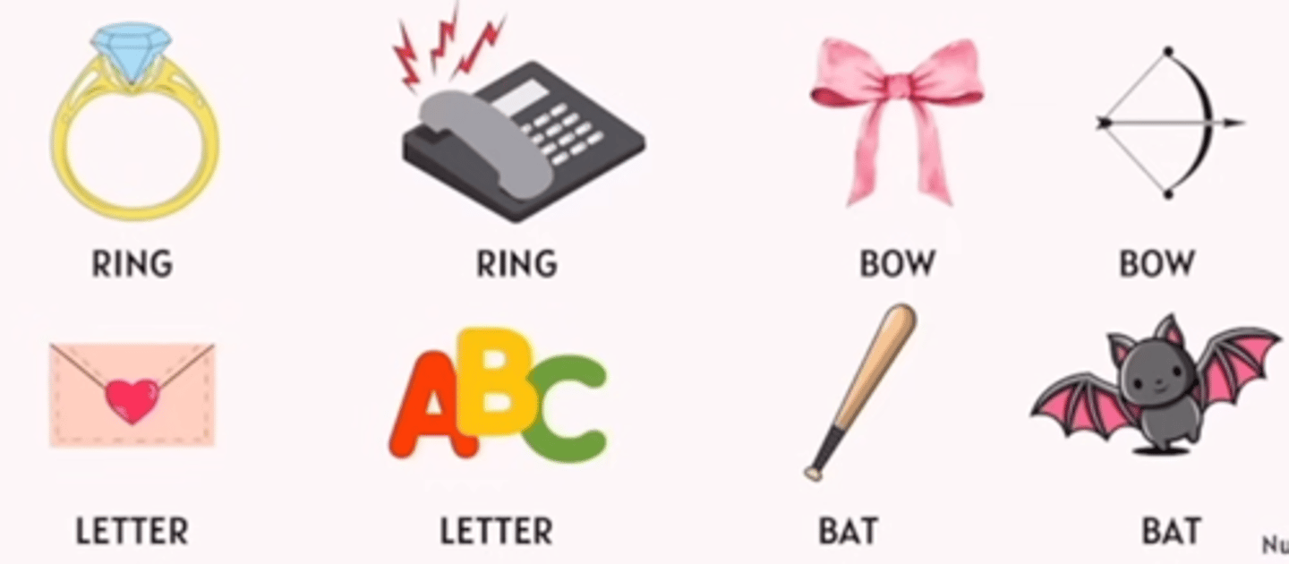 <p>Words that are spelled that same and sound the same with different meanings.</p>