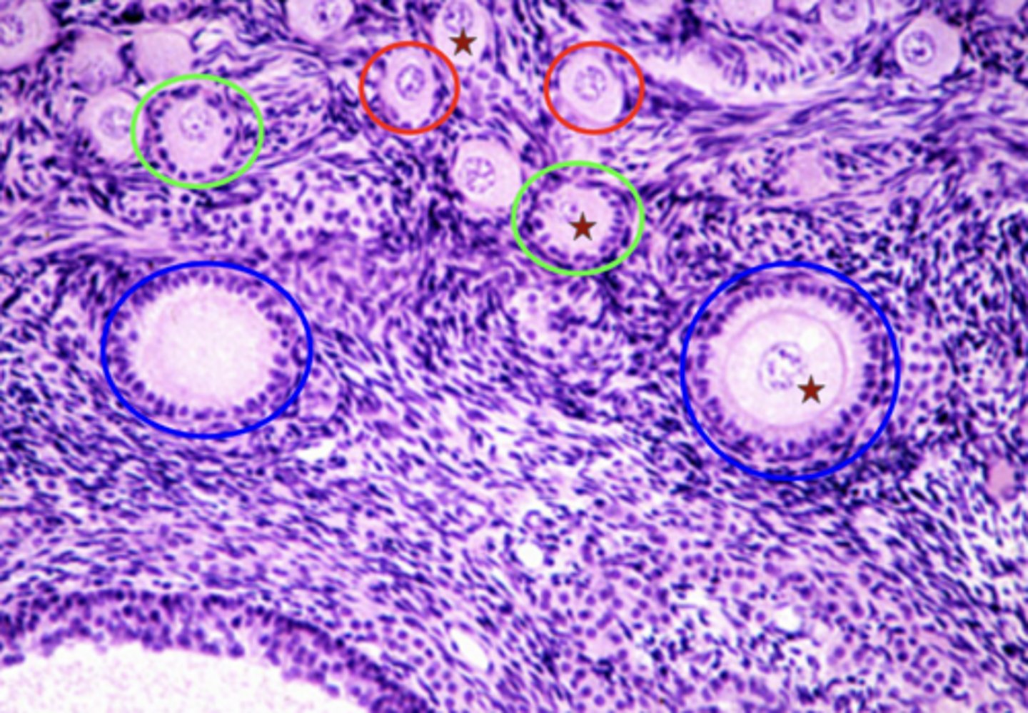 <p>What is the red circle?</p>