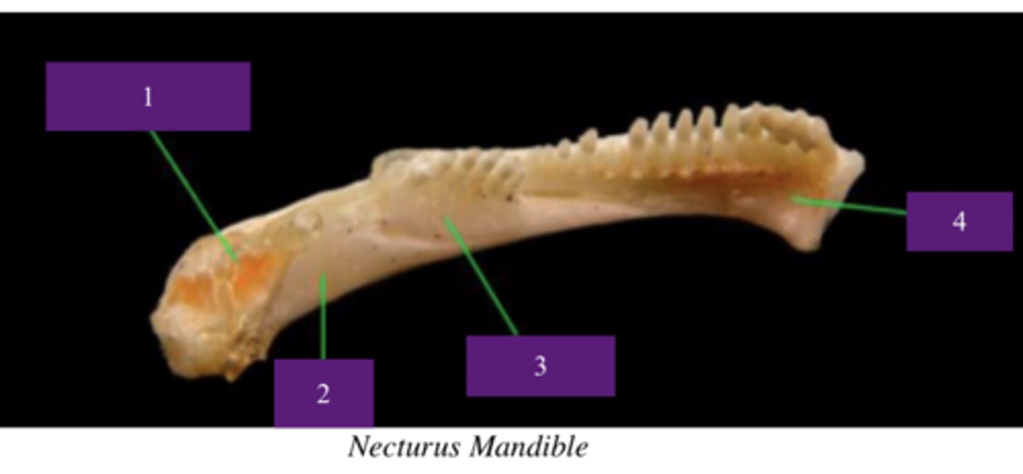 <p>What does number 1 point to?</p>
