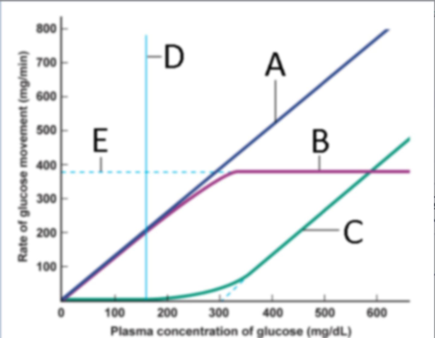 <p>Transport maximum</p>