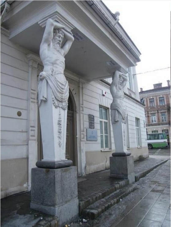 term image