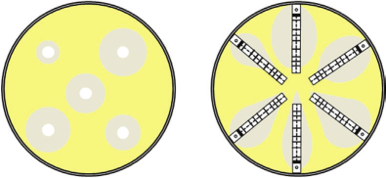 <p><mark data-color="yellow">Sensitivity to antibiotics - tests</mark></p><p>Can you label, describe and explain what this diagram is/shows?</p>