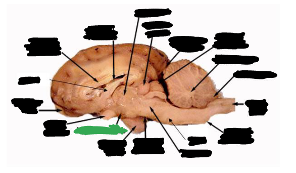 <p></p>