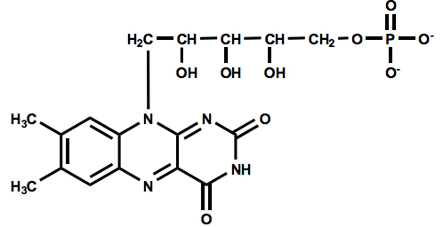 <p>Prosthetic Group</p><p>Redox Reactions Involving 1-2 e- transfers</p><p>Source is Vitamin B2 / Riboflavin</p>