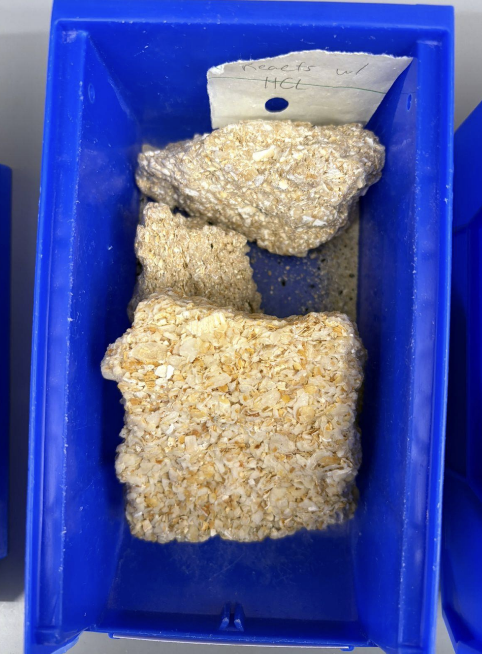 <p>Composition: Biochemical</p><p>Grain Size: Visible Shells</p><p>Grain Roundness: Angular</p><p>Grain Arrangement (Sorting): Poor/Moderate</p><p>Reacts with HCL</p>