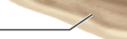 <p>Label</p>