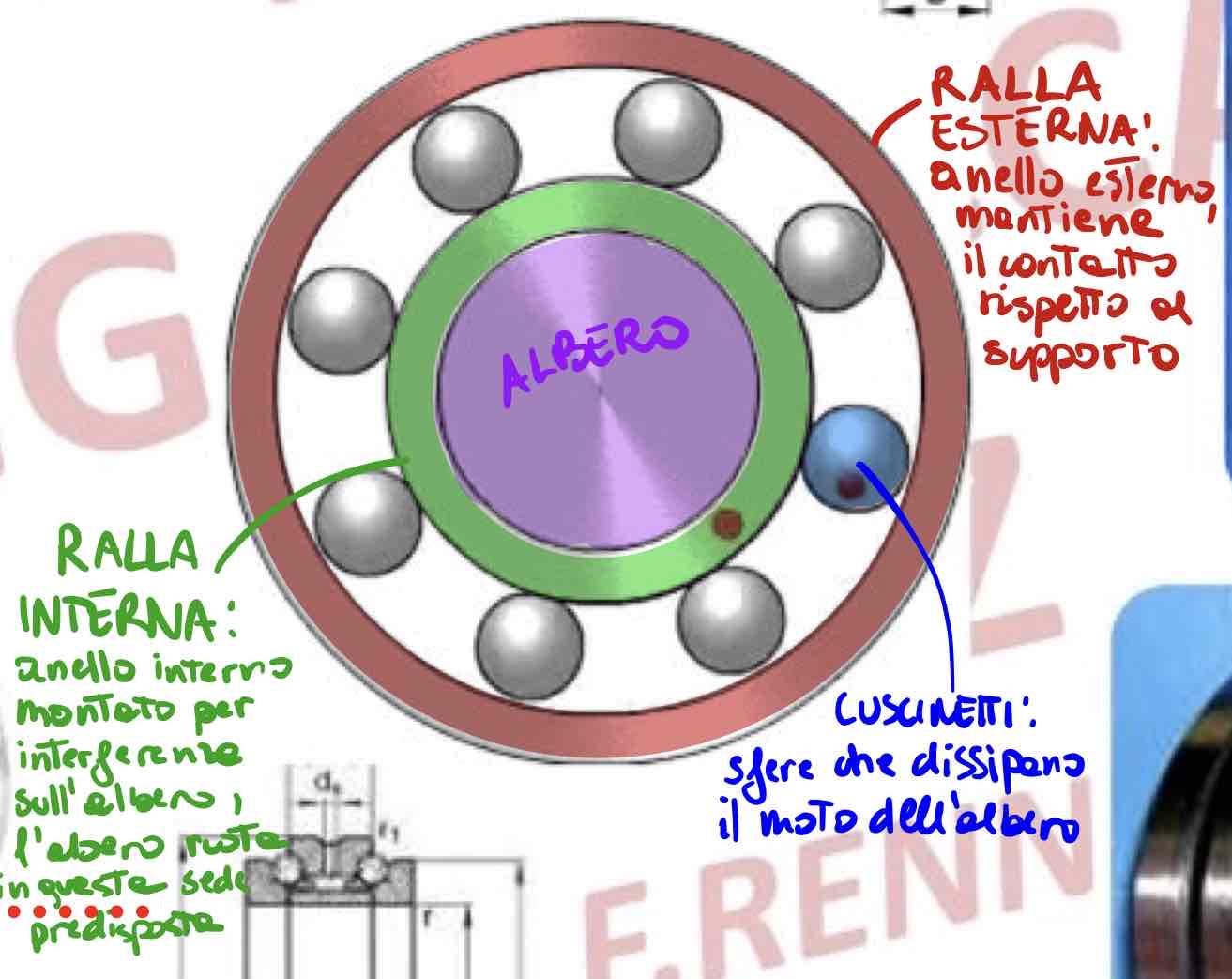 <ol><li><p><strong>ralla esterna: </strong>anello esterno che mantiene il <em><u>contatto rispetto al supporto</u></em></p></li><li><p><strong>ralla interna:</strong> anello interno montato per <em><u>interferenza sull’albero</u></em>, l’albero ruota in questa sede predisposta</p></li><li><p>i <strong>cuscinetti </strong>sono posti tra le due ralle, sono delle <em><u>sfere che dissipano il moto</u></em> dell’albero</p></li></ol>