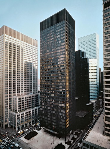term image