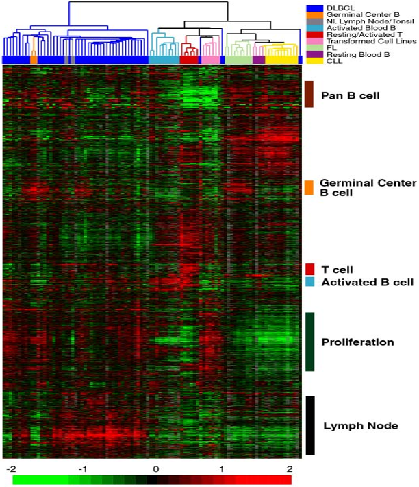 <p>A technique used to group similar samples together based on their gene expression profiles. This helps identify patterns and relationships within the data. and visualize related samples in bioinformatics. </p>