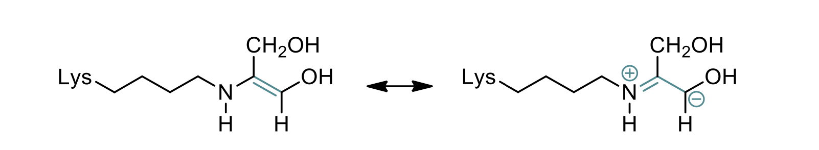 <ul><li><p>schiff base is a chemical structure formed by a nitrogen atom from a lysine residue in the enzyme and a carbonyl group from the substrate</p><ul><li><p>stabilizes the negative charge on the intermediate</p></li></ul></li></ul>