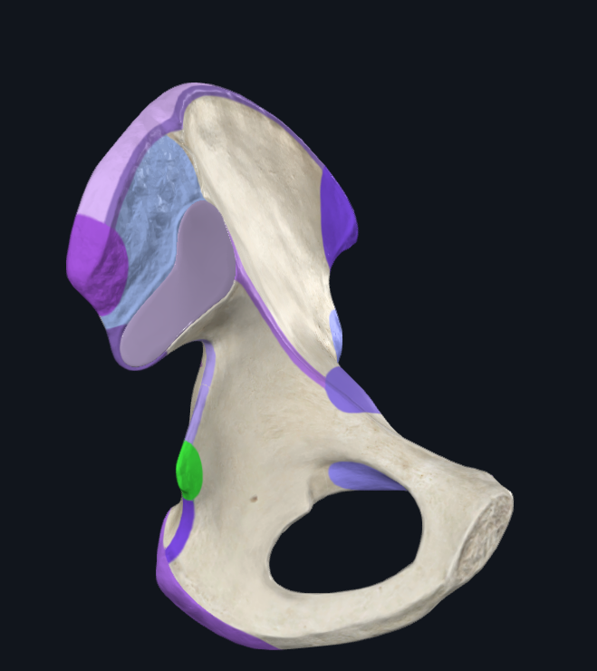 <p>What is highlighted green</p>