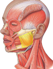 <p>What is this?</p>