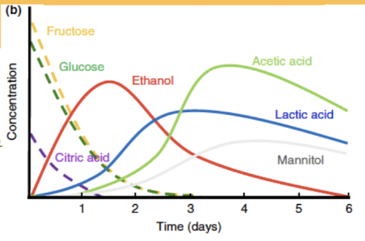 <ul><li><p>Glucose and fructose main sugars</p></li><li><p>Citrate also consumed early on</p></li><li><p>Ethanol (alcohol) seen FIRST</p></li><li><p>Mannitol from fructose, to combat acidic environment</p></li></ul><p></p>
