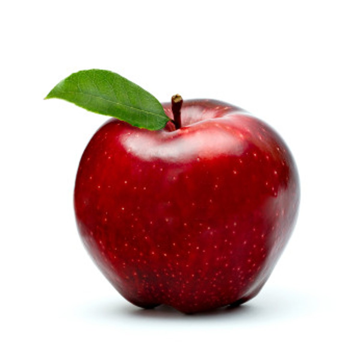 <p>apple (neut. noun)</p>