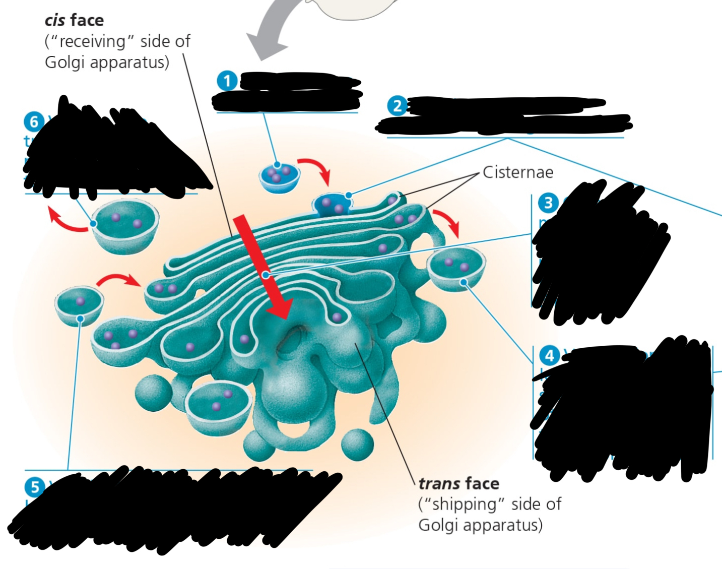 <p><span style="font-family: Arial-BoldMT; font-size: 14.67px;"><strong>Fill in the missing information.</strong></span></p>
