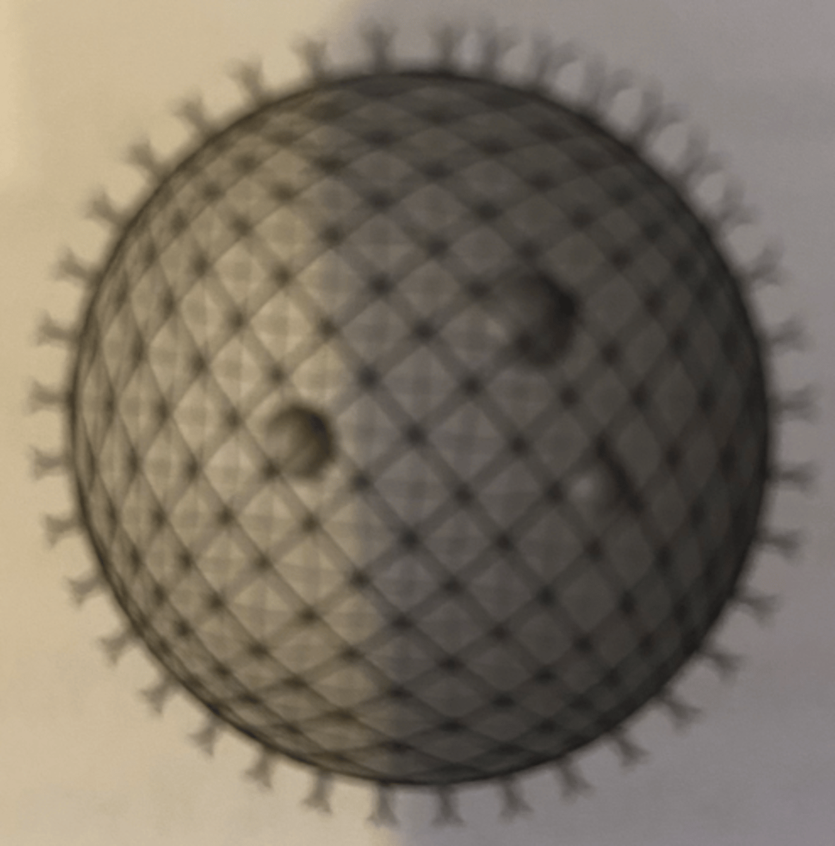 <p>a green, single-celled aquatic organism that forms minute, free-swimming spherical colonies. has specialized cells for sexual (oogamous) and asexual reproduction, eyespots</p>