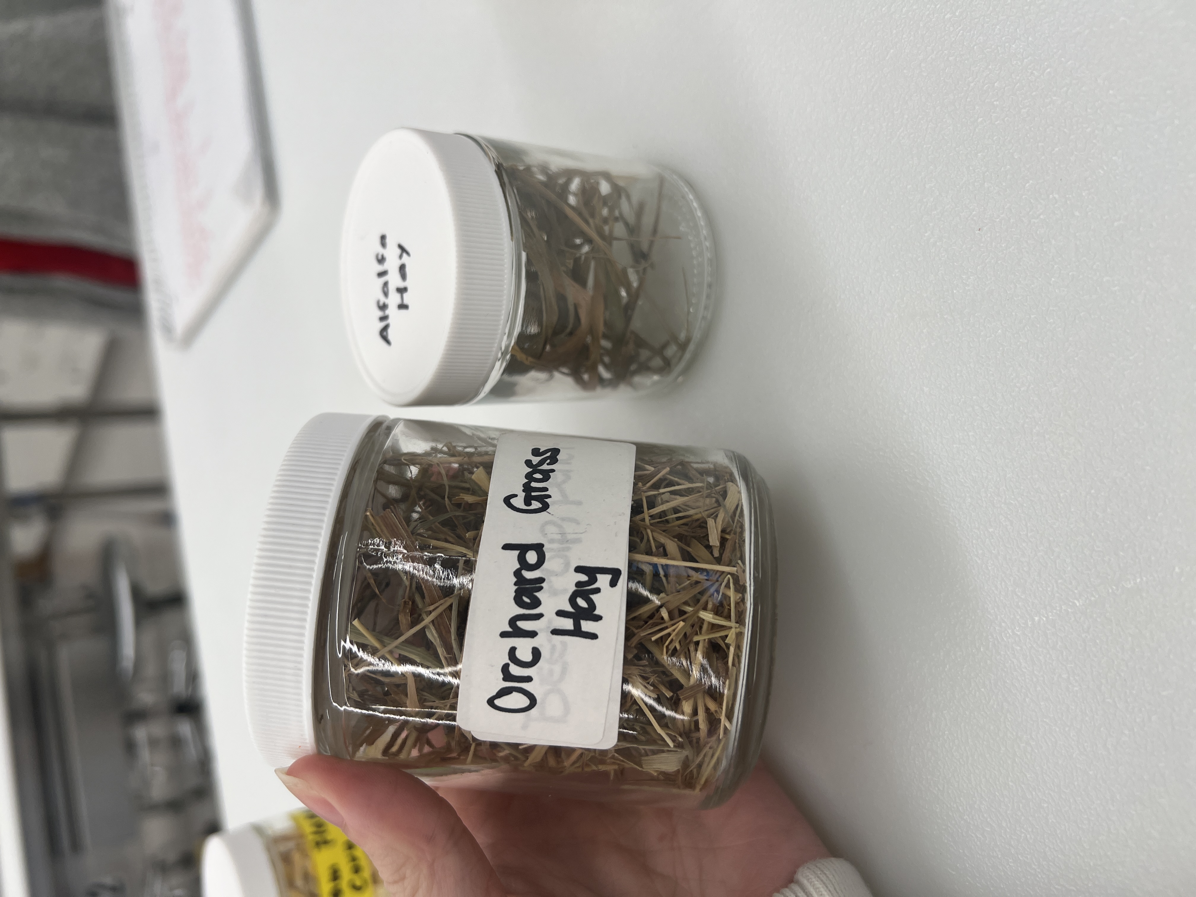 <ul><li><p>IFN # and category: 1 dry roughage</p></li><li><p>AAFCO category: Roughage product</p></li><li><p>appearance: Smells like hay but sweeter, dried pieces of grass, more fine</p></li></ul><p></p>