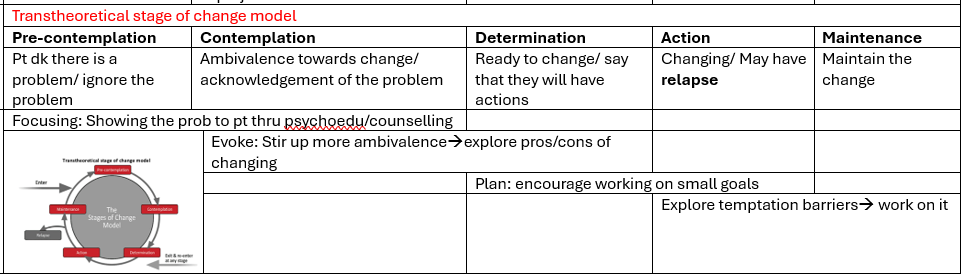 <p>transtheoretical stages of change model</p><p>OR</p><p>moratorium (confusion/ withdrawal)</p><p>awareness (hope)</p><p>preparation (evaluate strengths and weaknesses)</p><p>rebuilding (positive identity/ goals/ empowerment)</p><p>growth (resilience)</p>