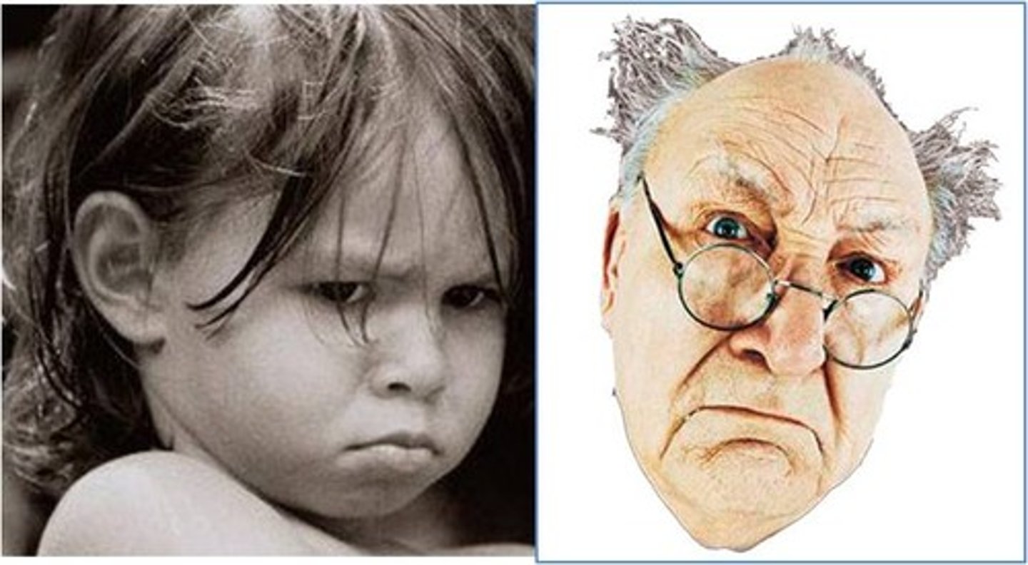 <p>This area of study helps us understand how and why people remain the same in some ways but also evolve and adapt in others as they go through different life stages.</p>