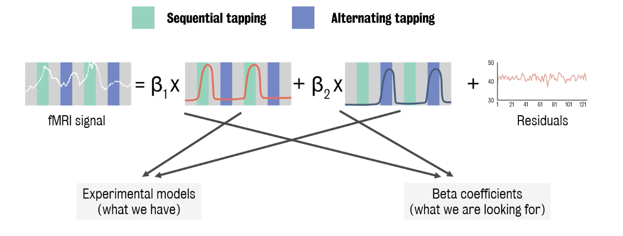General Linear Model to analyse fMRI time series