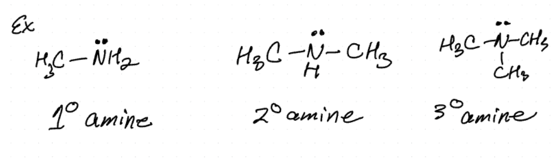 <p></p><p>Number of carbons bonded to N determines 1º 2º 3º</p>
