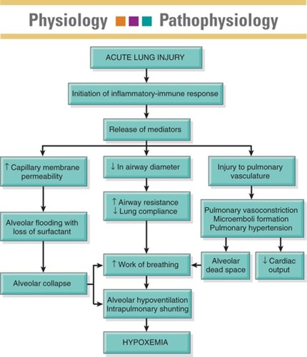 <p>"PRIL" Captopril, Enalapril, Afosiopril, LisinoprilB<br><br>Antihypertensive. Blocks ACE in lungs from converting angiotensin I to angiotensin II (powerful vasoconstrictor). Decreases BP, Decreased Aldosterone secretions, Sodium and fluid loss. Some Alo used in CHF. </p><p>prevent the conversion of angiotensin I to angiotensin II which prevents vasoconstriction and retention of sodium and water<br>Check BP before giving (hypotension)<br><br>*Orthostatic Hypotension</p><p></p><p>inhibiting the formation of angiotensin 2<br>block the breakdown of bradykinin<br>produce vasodilation</p><p>SE: Cough, angioedma, reanal Insufficient</p><p>and cause vasodilation<br>decreased blood volume<br>decreased sympathetic activity<br>inhibit cardiac and vascular hypertrphy</p>