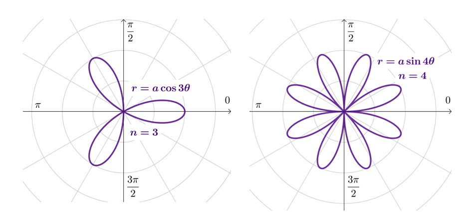 <p>acos(nθ) or asin(nθ)</p><ul><li><p>If n is odd, there are n petals</p></li><li><p>If n is even, there are 2n petals</p></li></ul><p>First petal positions:</p><ul><li><p>Cos curve -  On the x-axis</p></li><li><p>Sin curve - First Quadrant</p></li></ul>