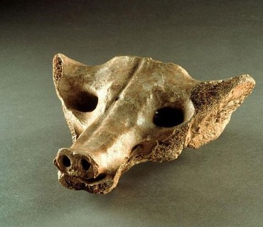 Camelid Sacrum (date/location)