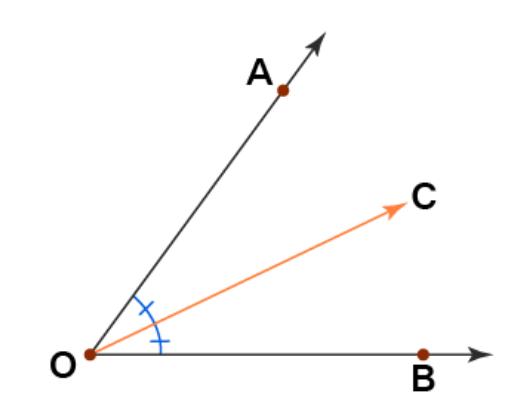 <p>A ray that divides an angle into two equal angles.</p>