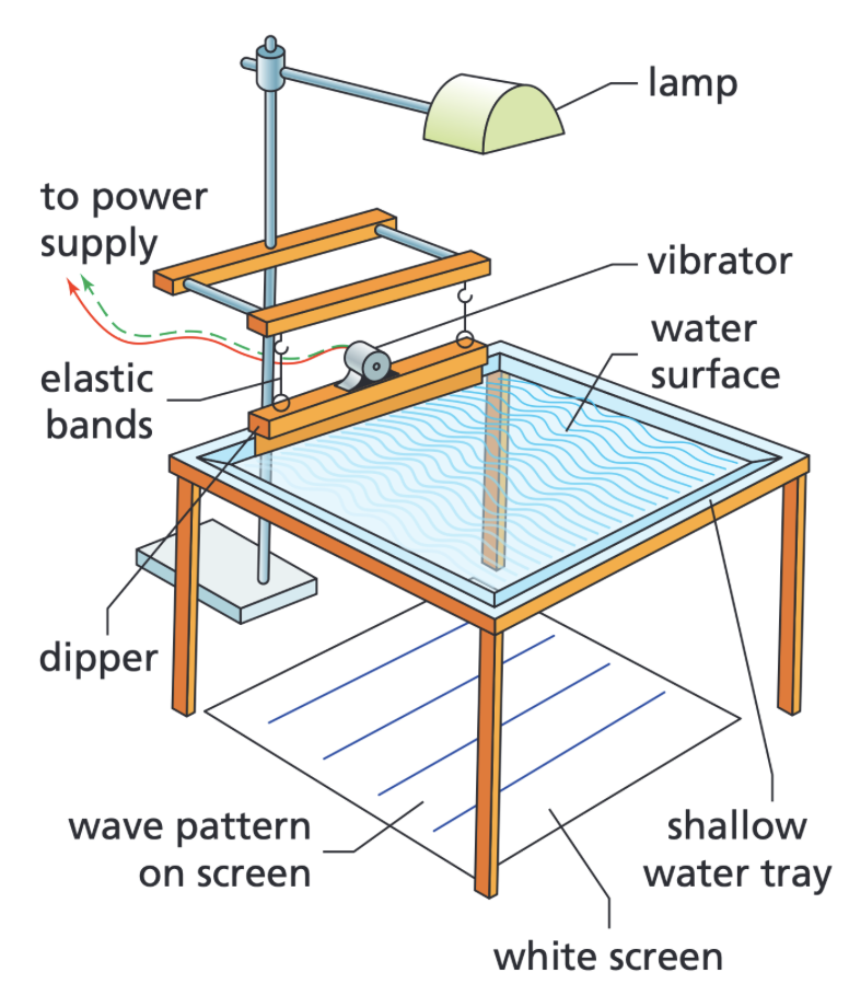 <ul><li><p>Set up a ripple tank - it should have a tank of water, a vibrating bar, a power source, a lamp, and a sheet of white paper beneath it- when switched on it will produce a plain wave</p></li><li><p>Place a ruler next to the sheet of white paper</p></li><li><p>Take an image of the set up, with the ruler in view</p></li><li><p>Measure the length of one wave/ or measure the length of multiple waves (eg 10) and then use that to find one wave (this is more accurate) using the ruler</p></li><li><p>Next, place a timer next to the white paper</p></li><li><p>Start the timer, and record a slow motion video with the timer in view, and record the amount of waves that pass by one point in 1 second/ across multiple seconds then divide to find one (more accurate)- this is the frequency</p></li><li><p>We can either use the equation v=f x <span>λ or we can use the slow motion recording and the stopwatch to see how long it takes one wave to travel the length of the tank, and use v=s/t to find wave-speed </span></p></li></ul><p></p>